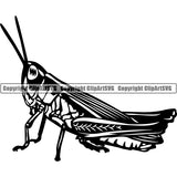 Grasshopper Animal ClipArt SVG