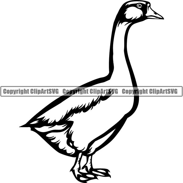 Goose Animal ClipArt SVG