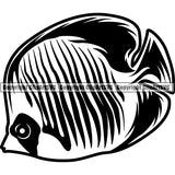 Butterfly Fish 5tg6 ClipArt SVG File