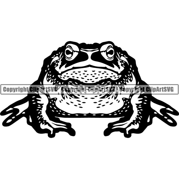 Frog Animal ClipArt SVG