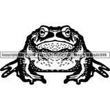 Frog Animal ClipArt SVG