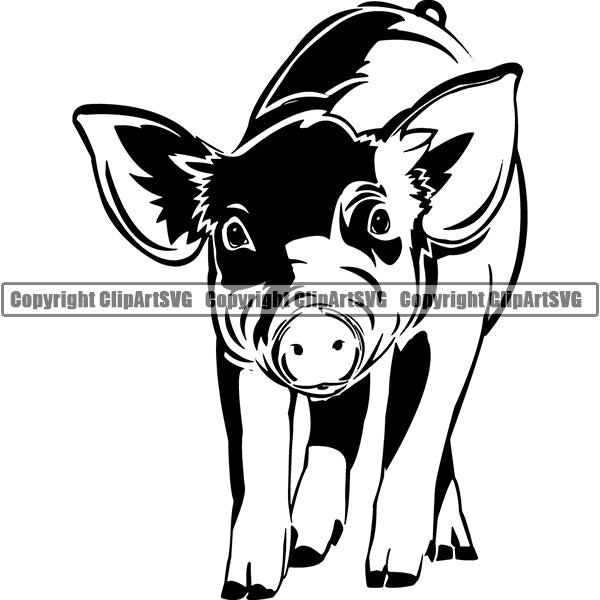 Pig Animal ClipArt SVG