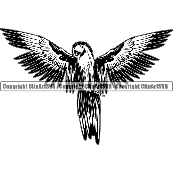 Parrot Animal ClipArt SVG