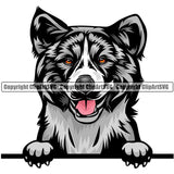 Akita Dog Breed Peeking Color ClipArt SVG