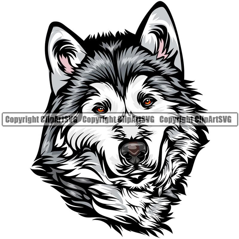 Alaskan Malamute Dog Breed Head Color ClipArt SVG