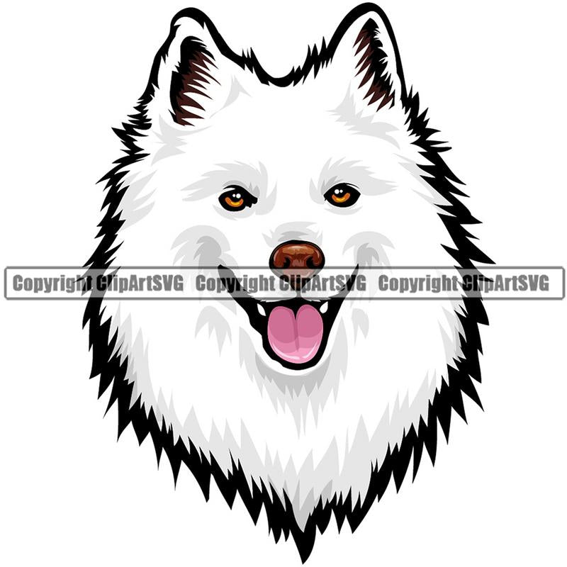 American Eskimo Dog Breed Head Color ClipArt SVG