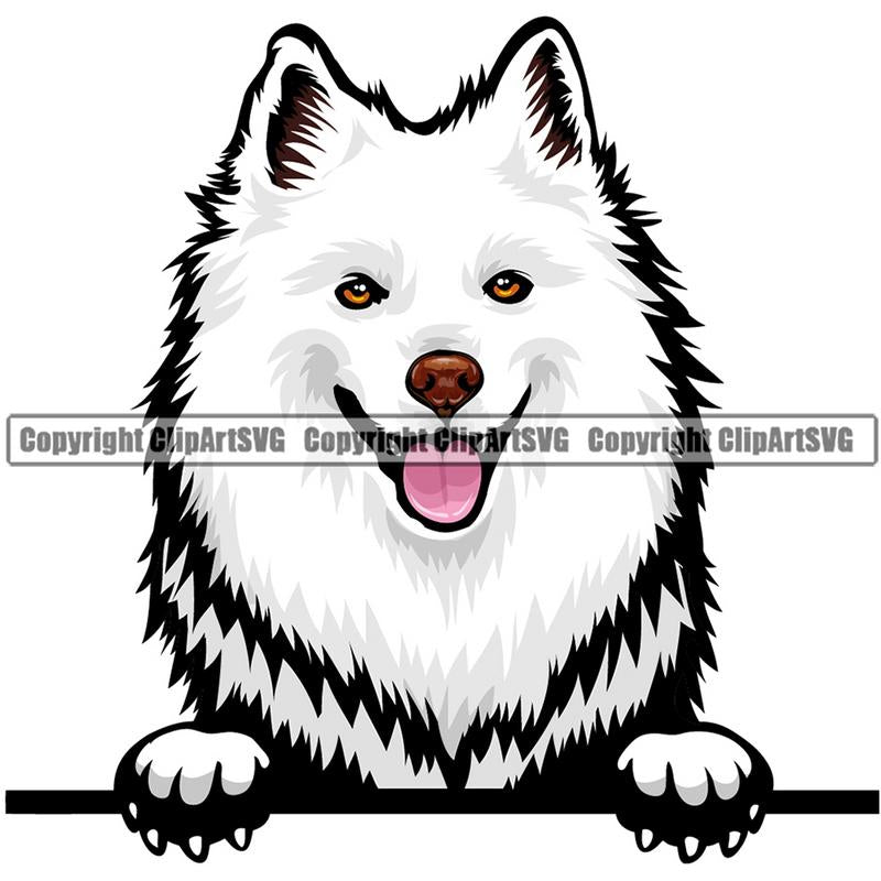 American Eskimo Dog Breed Peeking Color ClipArt SVG