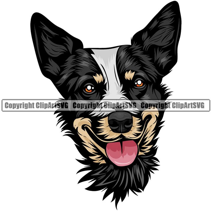 Australian Cattle Dog Dog Breed Head Color ClipArt SVG