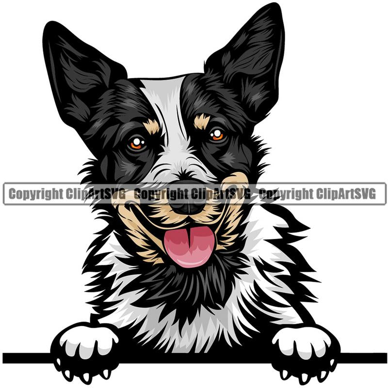 Australian Cattle Dog Dog Breed Peeking Color ClipArt SVG