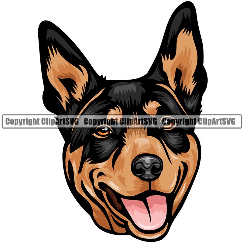 Australian Kelpie Dog Breed Head Color ClipArt SVG