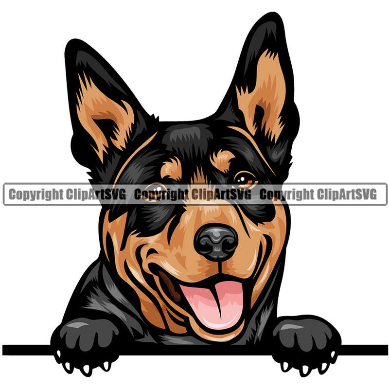 Australian Kelpie Dog Breed Peeking Color ClipArt SVG