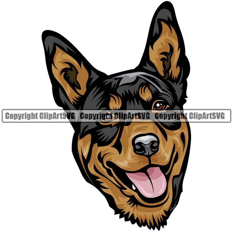 Australian Kelpie Dog Breed Head Color ClipArt SVG
