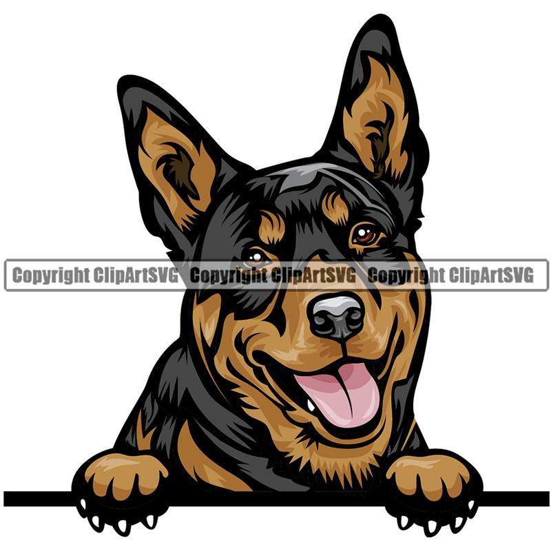 Australian Kelpie Dog Breed Peeking Color ClipArt SVG