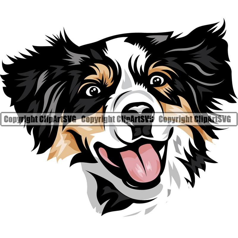 Australian Shepherd Dog Breed Head Color ClipArt SVG