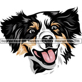 Australian Shepherd Dog Breed Head Color ClipArt SVG