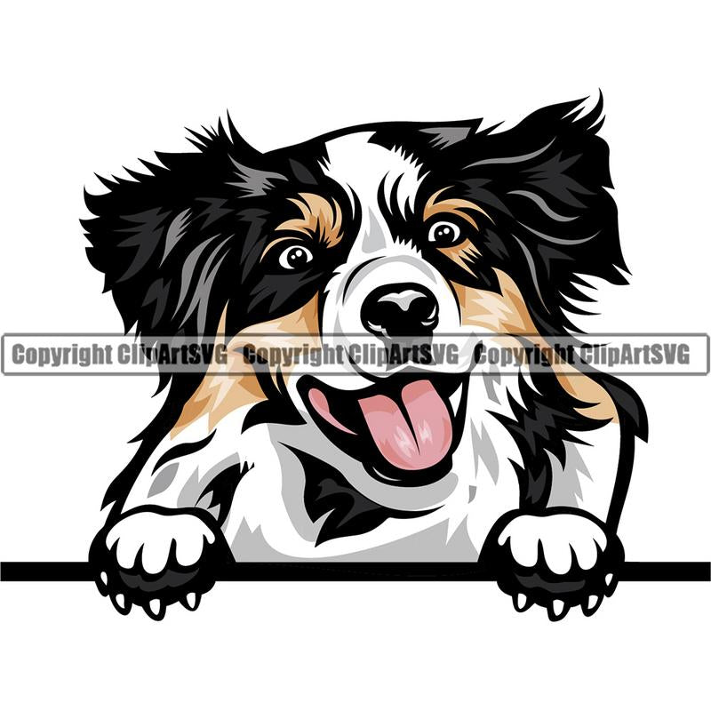 Australian Shepherd Dog Breed Peeking Color ClipArt SVG