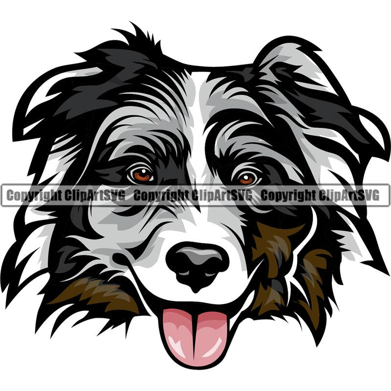 Australian Shepherd Dog Breed Head Color ClipArt SVG