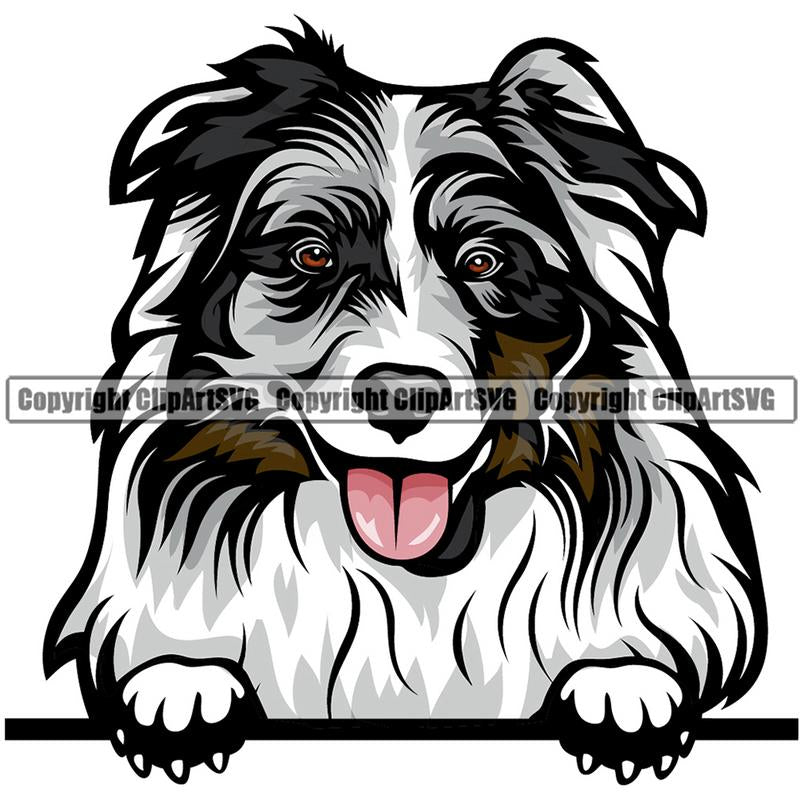 Australian Shepherd Dog Breed Peeking Color ClipArt SVG