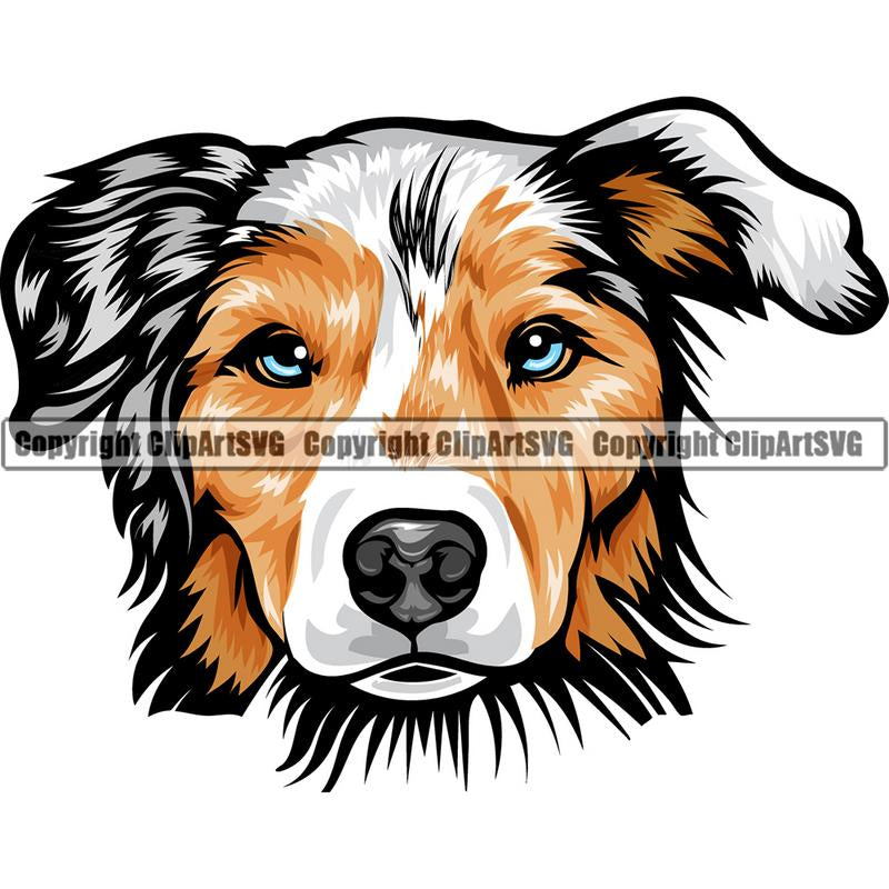 Australian Shepherd Dog Breed Head Color ClipArt SVG