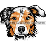 Australian Shepherd Dog Breed Head Color ClipArt SVG