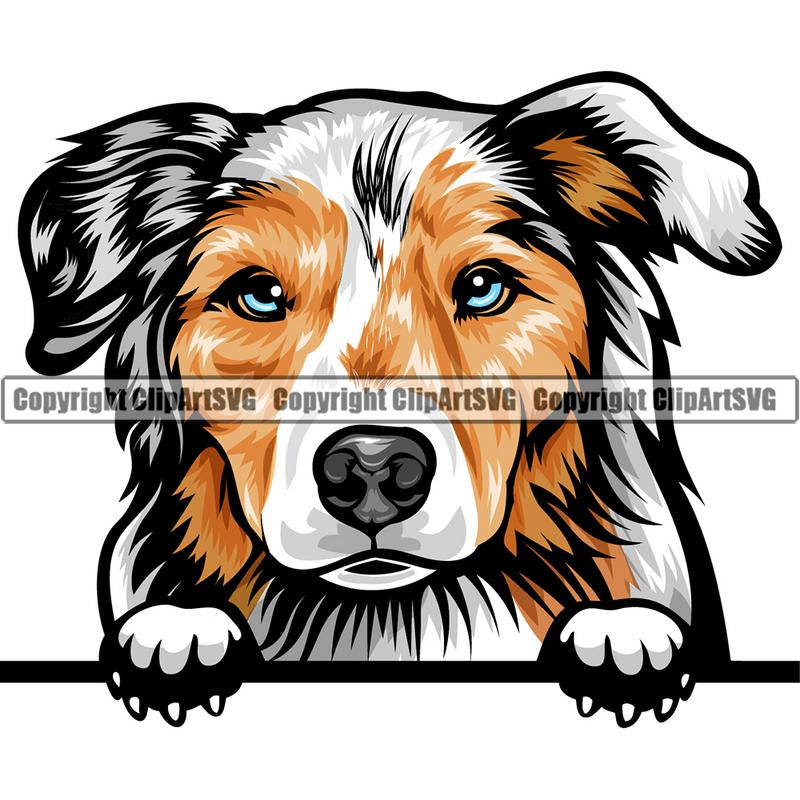 Australian Shepherd Dog Breed Peeking Color ClipArt SVG