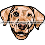 Australian Shepherd Dog Breed Head Color ClipArt SVG