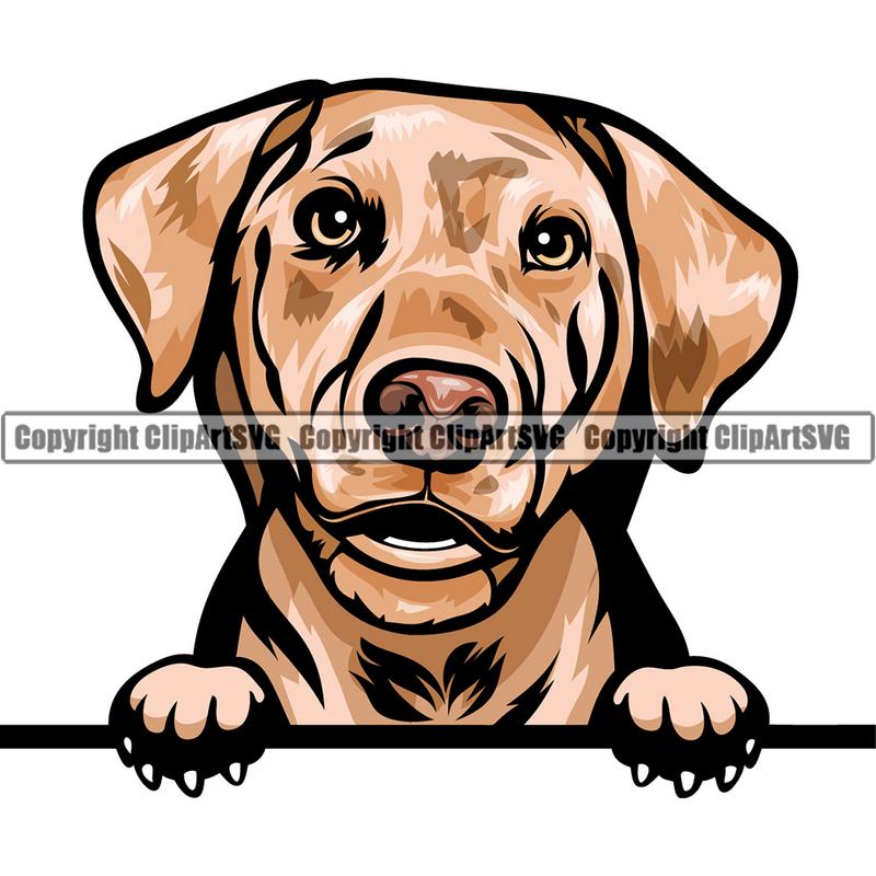 Australian Shepherd Dog Breed Peeking Color ClipArt SVG