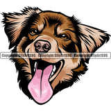 Australian Shepherd Dog Breed Head Color ClipArt SVG
