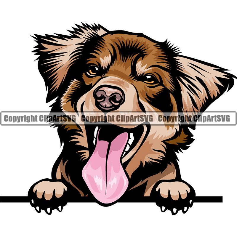Australian Shepherd Dog Breed Peeking Color ClipArt SVG