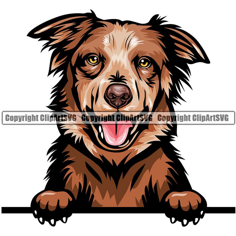 Australian Shepherd Dog Breed Peeking Color ClipArt SVG