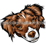 Australian Shepherd Dog Breed Head Color ClipArt SVG