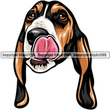 Basset Hound Dog Breed Head Color ClipArt SVG