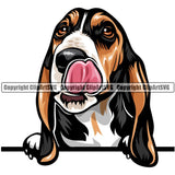 Basset Hound Dog Breed Peeking Color ClipArt SVG