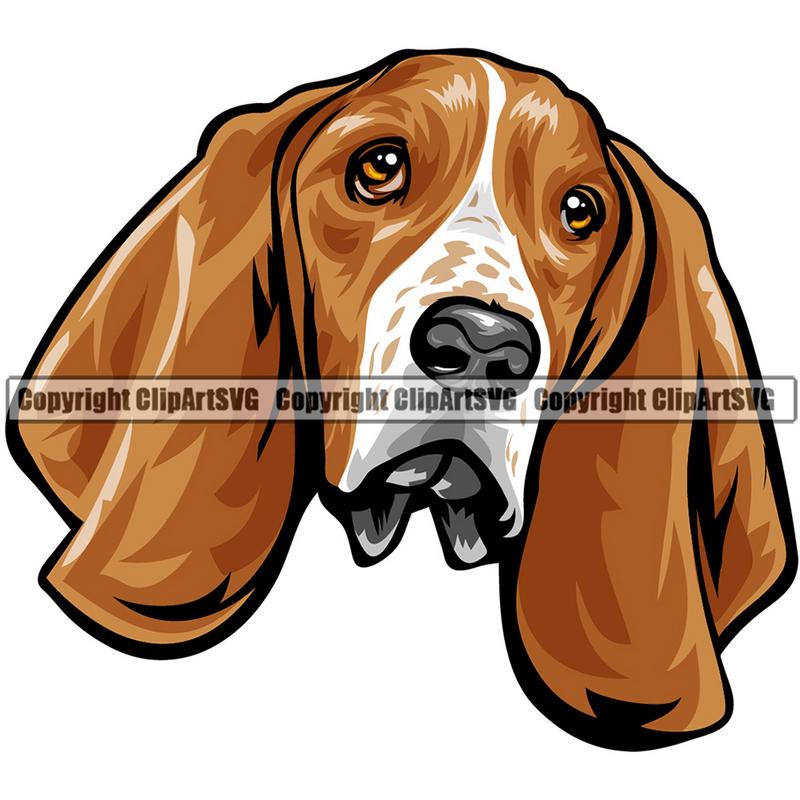 Basset Hound Dog Breed Head Color ClipArt SVG