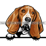 Basset Hound Dog Breed Peeking Color ClipArt SVG