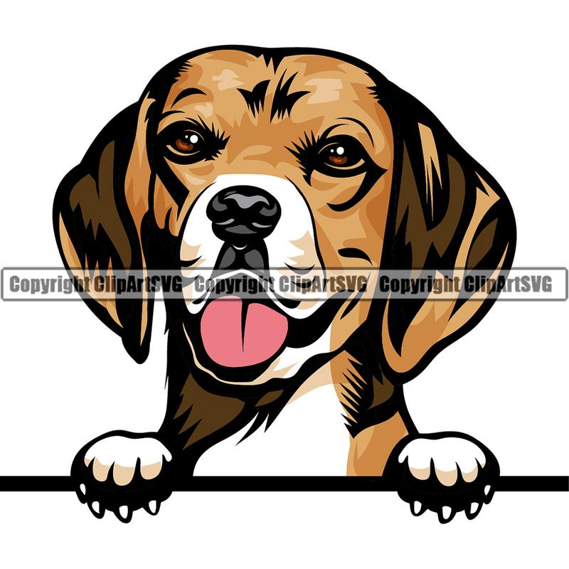 Beagle Dog Breed Peeking Color ClipArt SVG