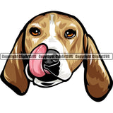 Beagle Dog Breed Head Color ClipArt SVG