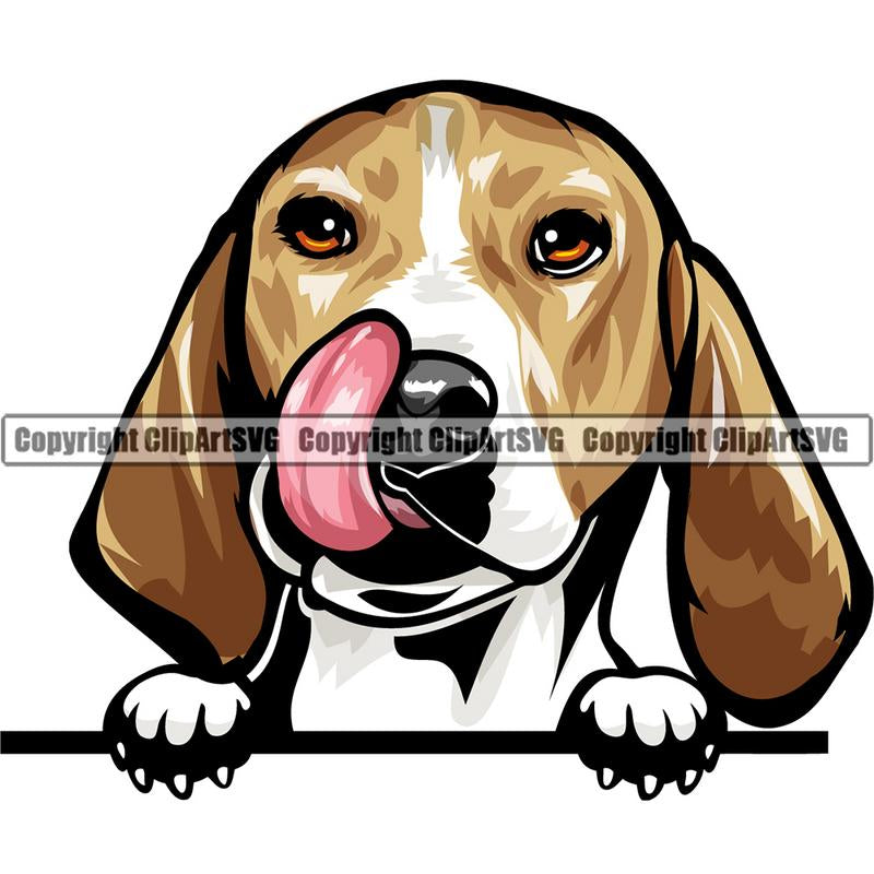 Beagle Dog Breed Peeking Color ClipArt SVG