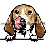 Beagle Dog Breed Peeking Color ClipArt SVG