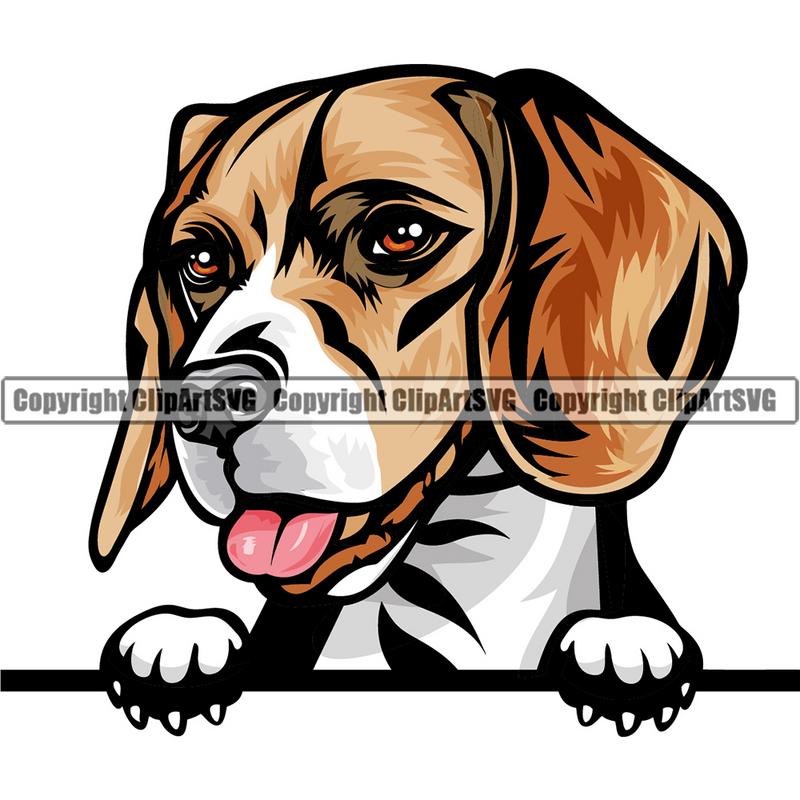 Beagle Dog Breed Peeking Color ClipArt SVG