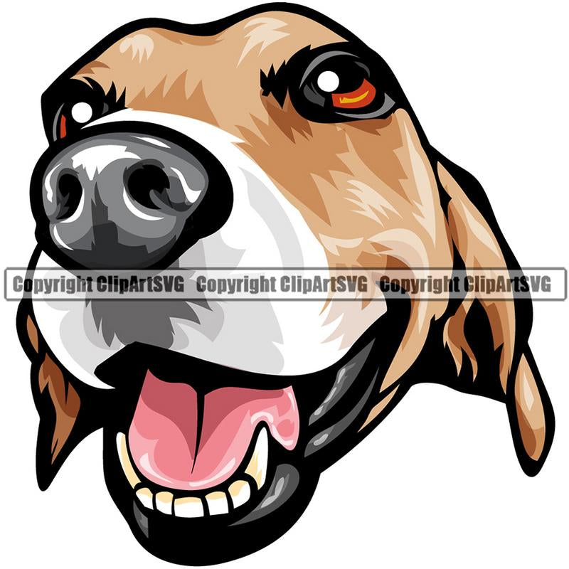 Beagle Dog Breed Head Color ClipArt SVG