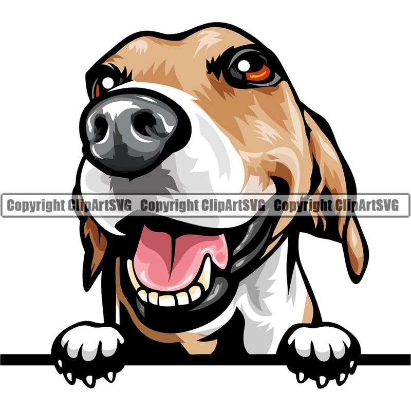 Beagle Dog Breed Peeking Color ClipArt SVG