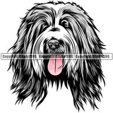Bearded Collie Dog Breed Head Color ClipArt SVG