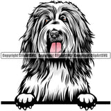 Bearded Collie Dog Breed Peeking Color ClipArt SVG