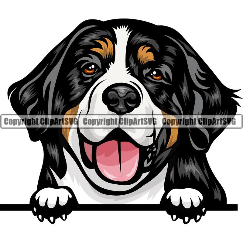 Bernese Mountain Dog Breed Peeking Color ClipArt SVG