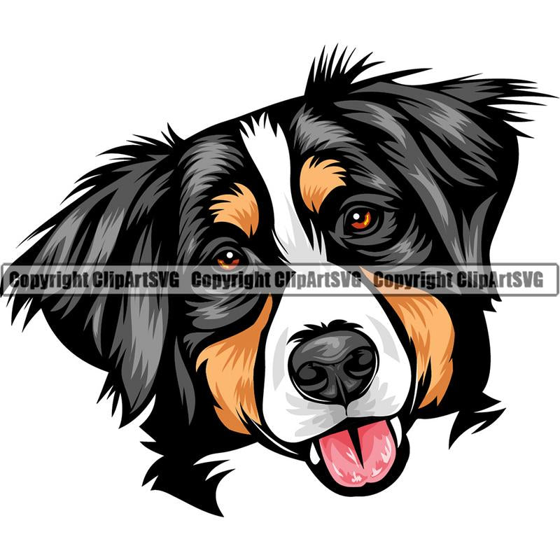 Bernese Mountain Dog Breed Head Color ClipArt SVG
