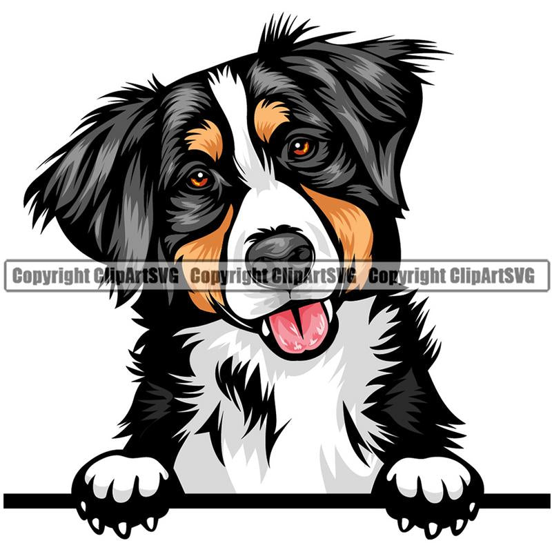 Bernese Mountain Dog Breed Peeking Color ClipArt SVG