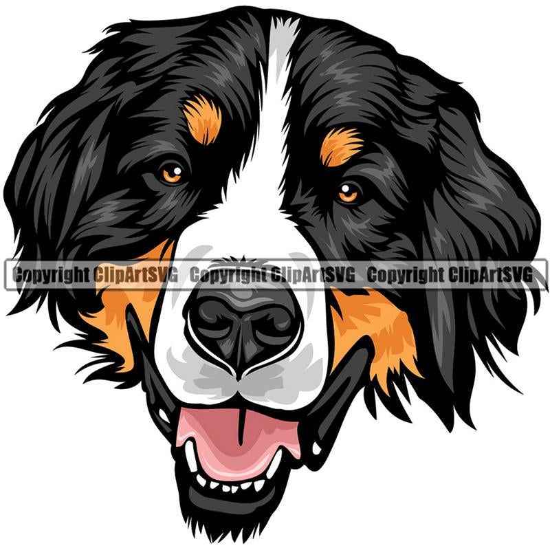 Bernese Mountain Dog Breed Head Color ClipArt SVG