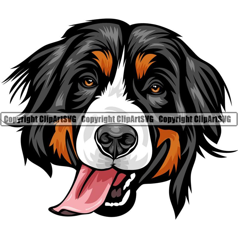 Bernese Mountain Dog Breed Head Color ClipArt SVG