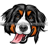 Bernese Mountain Dog Breed Head Color ClipArt SVG